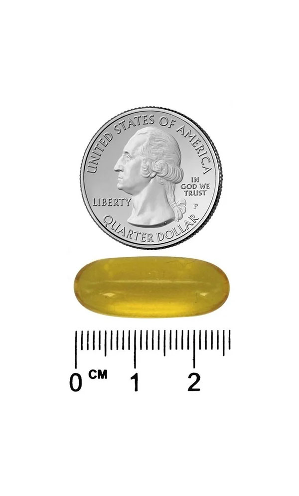 Omega-3 2100 Size